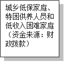 城乡低保家庭、特困供养人员和低收入困难家庭（资金来源：财政拨款）